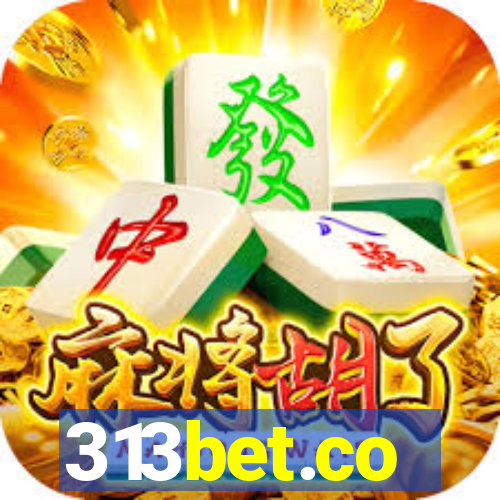 313bet.co