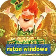 raton windows