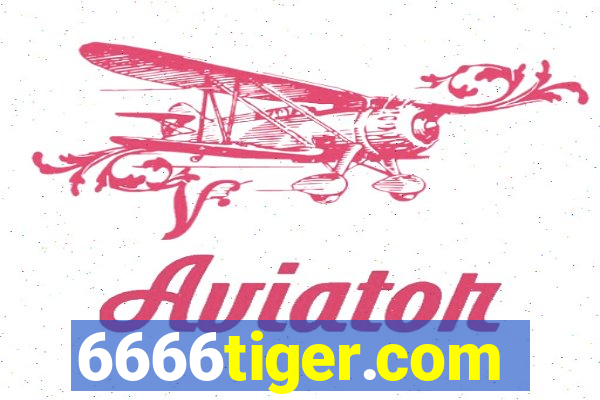 6666tiger.com