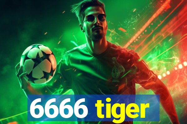 6666 tiger