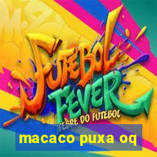 macaco puxa oq