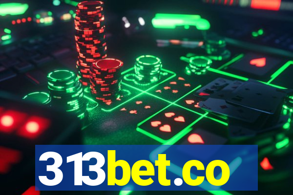 313bet.co